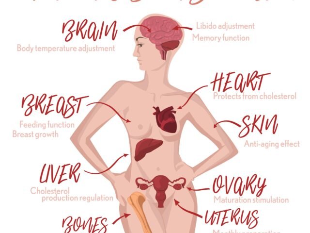 effects of estrogen throughout the body