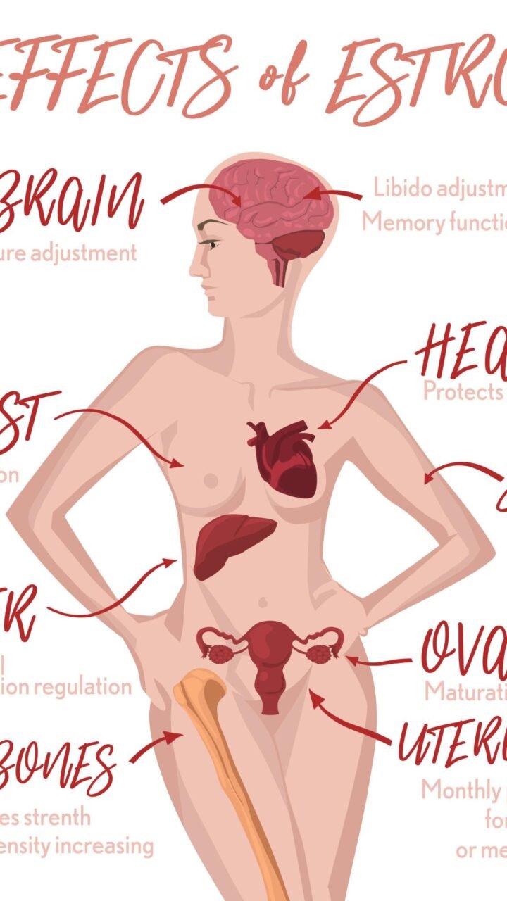 The Effects of Estrogen Throughout the Body and Why Hormone Balance Matters effects of estrogen throughout the body
